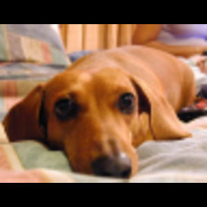 Meet your Posher, Jaime